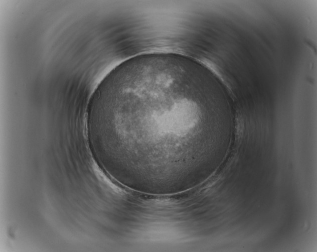 X0000101481468200807211348