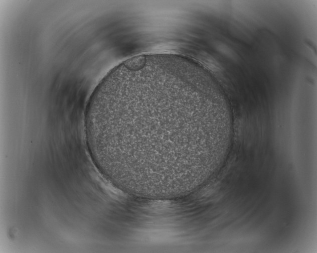 X0000101481470200807211348