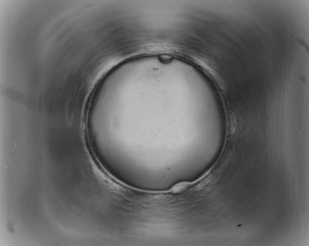 X0000101481471200807211348