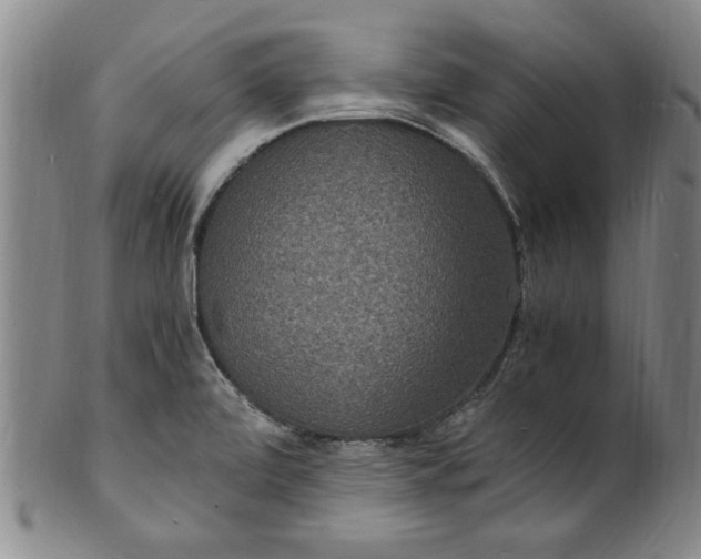 X0000101481472200807211348