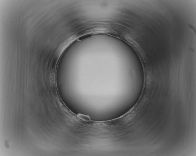 X0000101481473200807211348