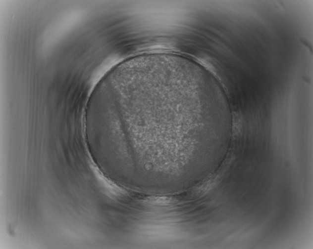 X0000101481474200807211348