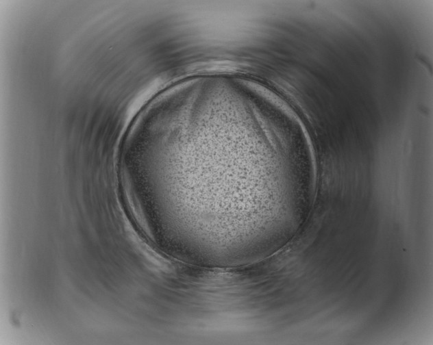 X0000101481475200807211348