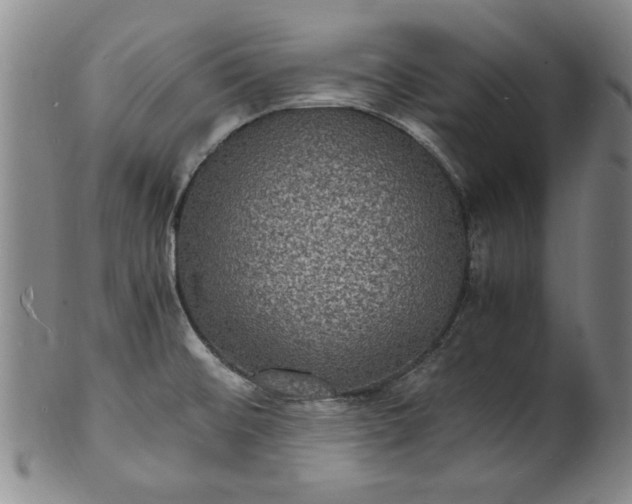 X0000101481476200807211348