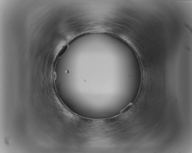 X0000101481477200807211348