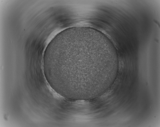 X0000101481478200807211348