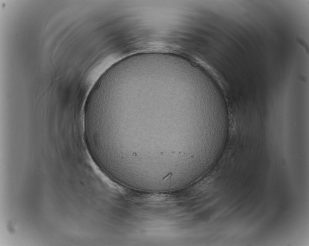 X0000101481479200807211348