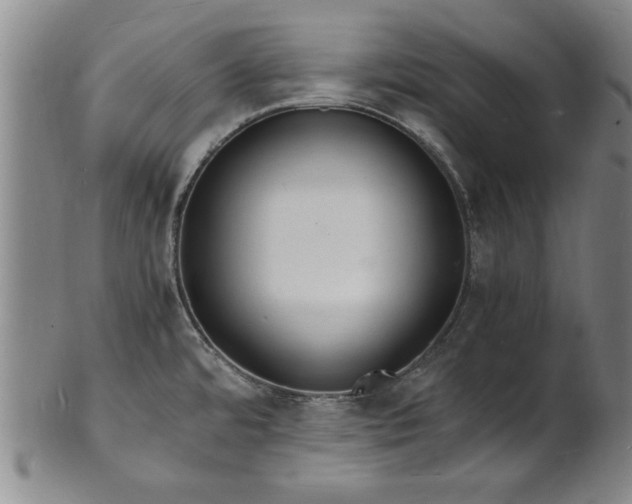 X0000101481480200807211348