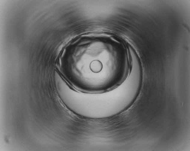 X0000101481481200807211348