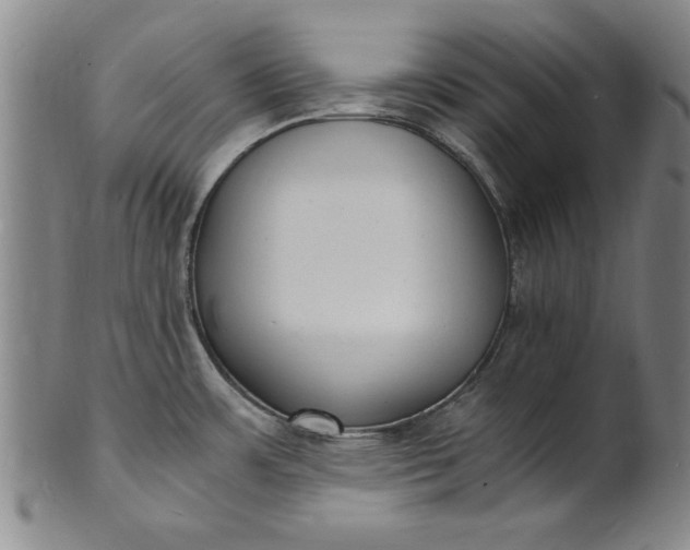 X0000101481483200807211347