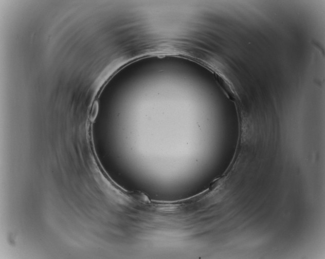 X0000101481484200807211347