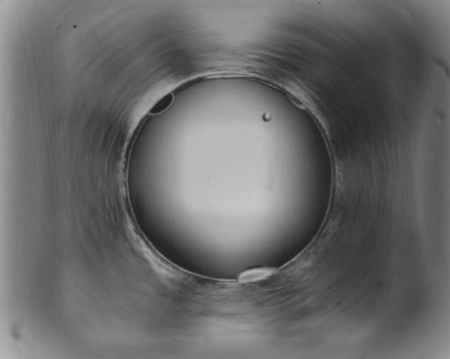 X0000101481485200807211347