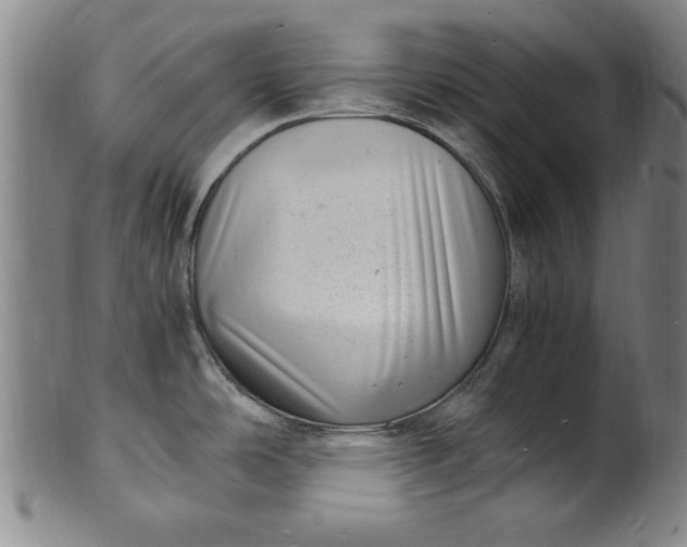 X0000101481486200807211347