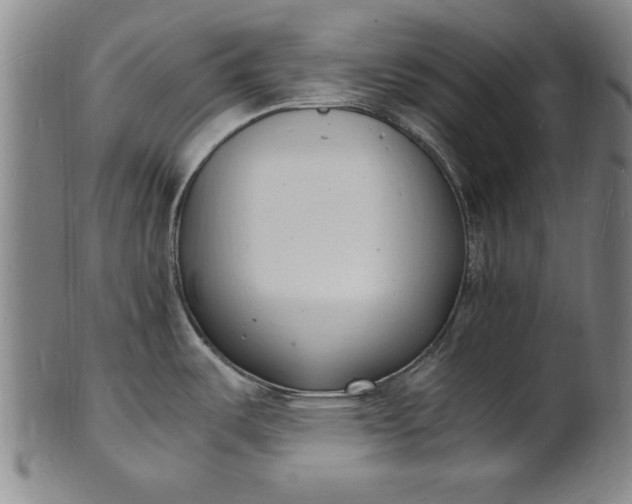 X0000101481487200807211347