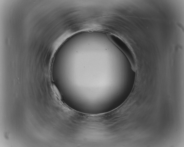 X0000101481488200807211347