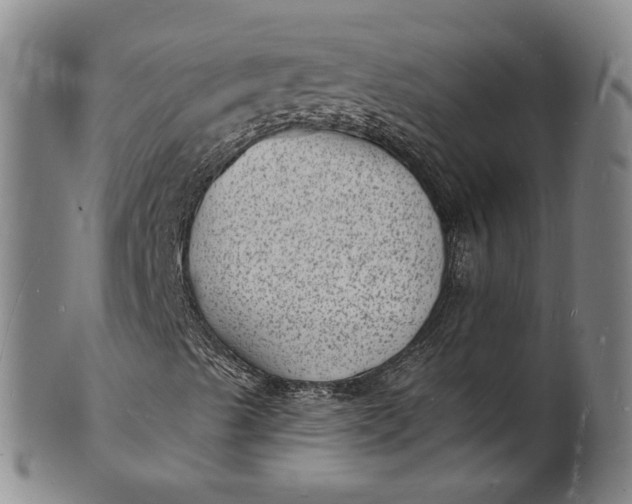 X0000101481489200807211347