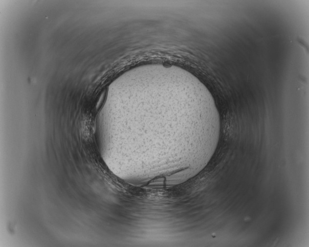 X0000101481490200807211347