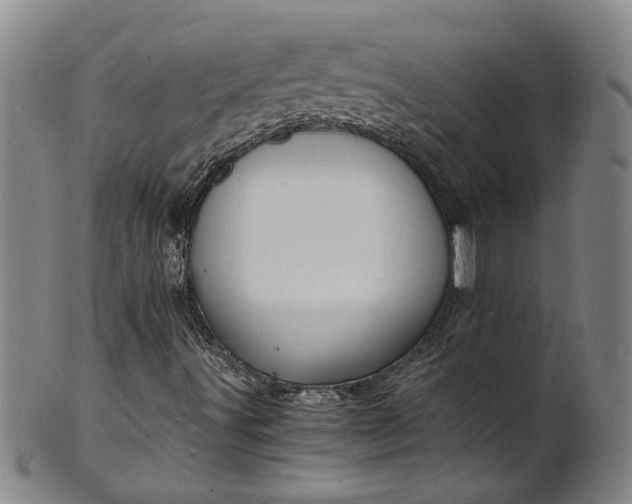 X0000101481491200807211347