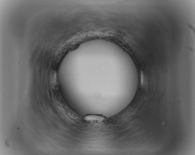 X0000101481492200807211347