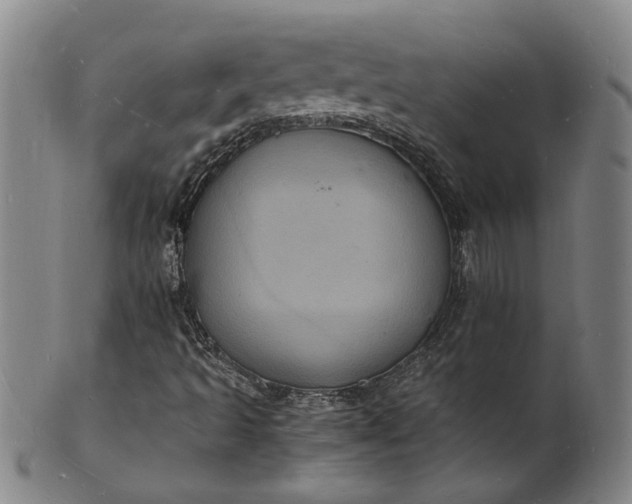 X0000101481493200807211347