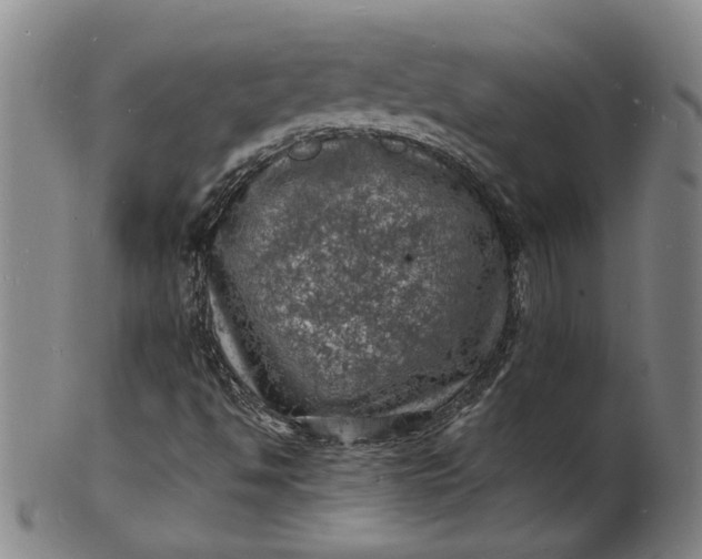 X0000101481494200807211347