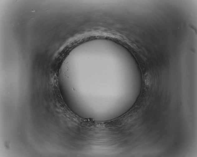 X0000101481495200807211347