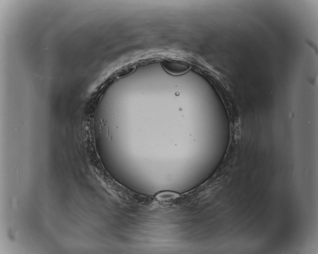 X0000101481496200807211347