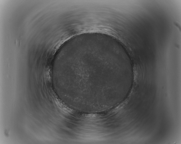 X0000101481497200807211347