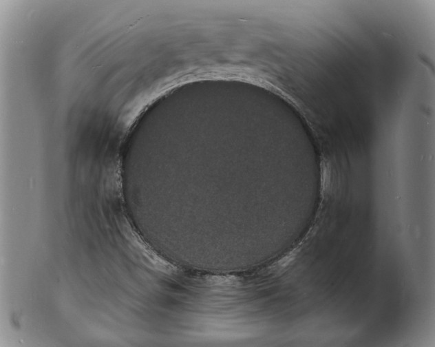 X0000101481498200807211347