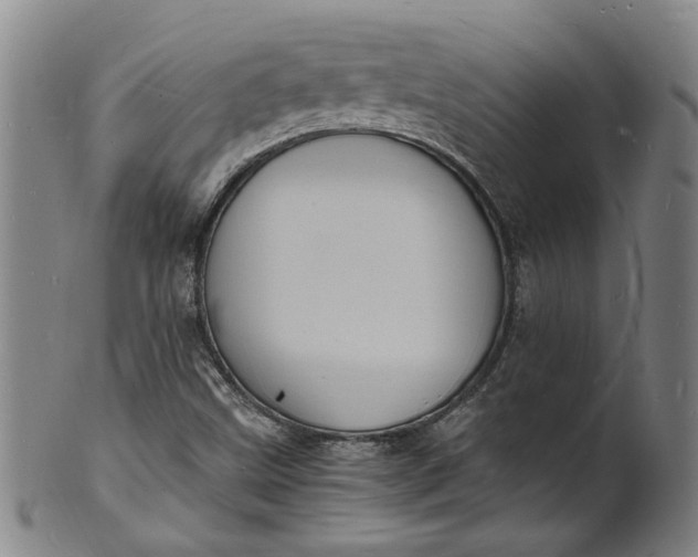 X0000101481499200807211347