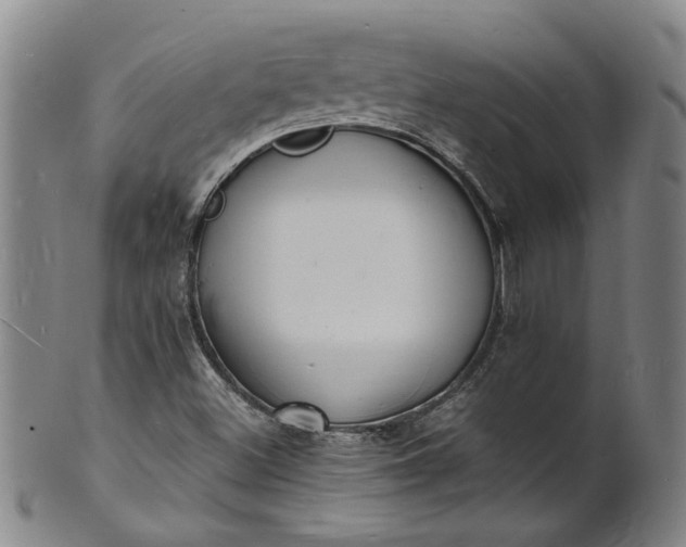 X0000101481500200807211347