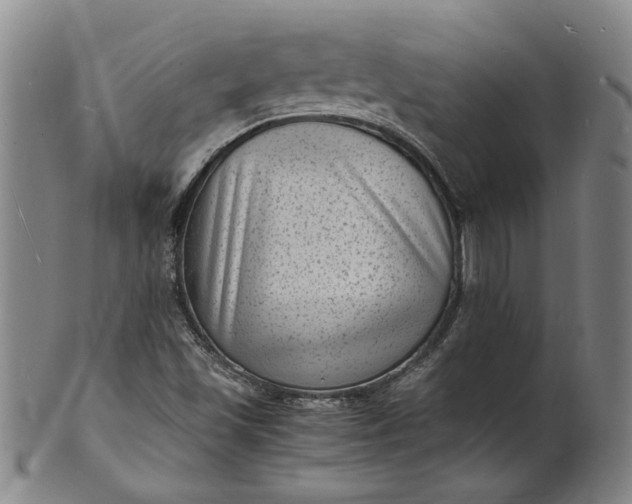 X0000101481501200807211347