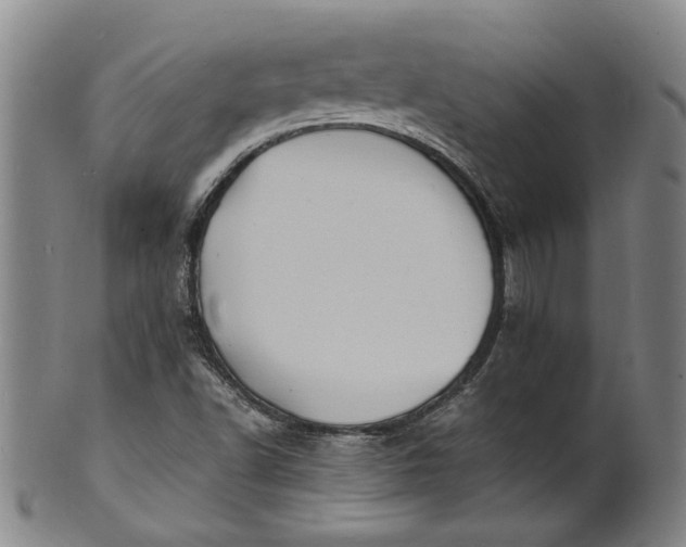 X0000101481502200807211347