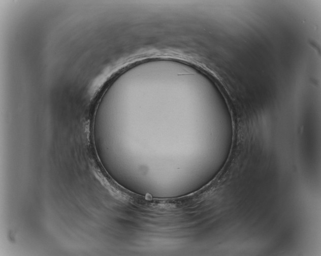 X0000101481503200807211347