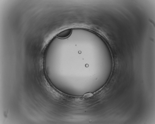 X0000101481504200807211347