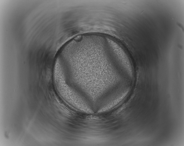 X0000101481505200807211347