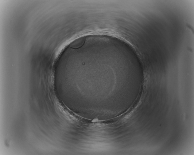 X0000101481506200807211347