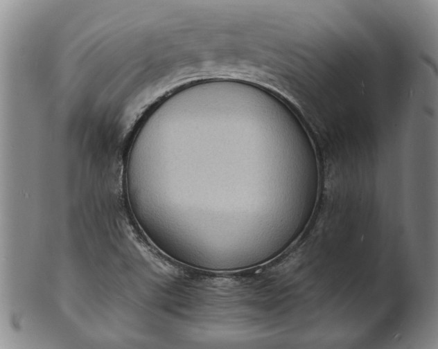 X0000101481507200807211347