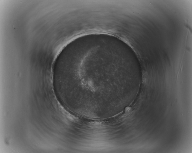 X0000101481508200807211347