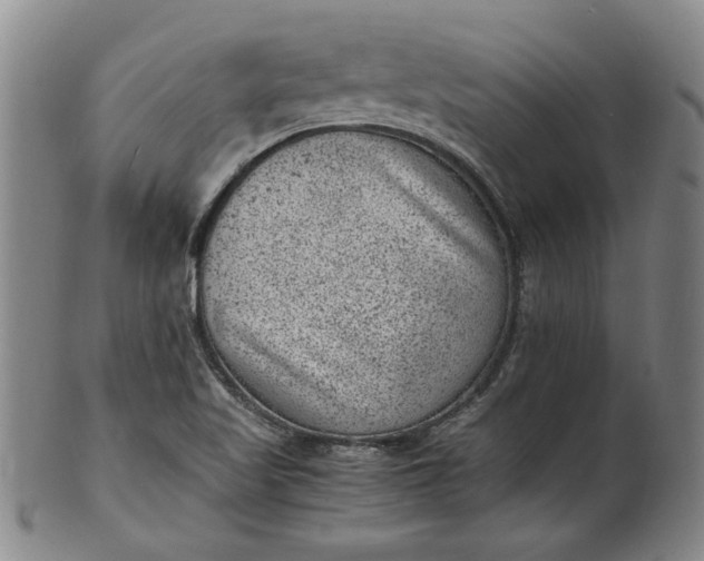 X0000101481509200807211347