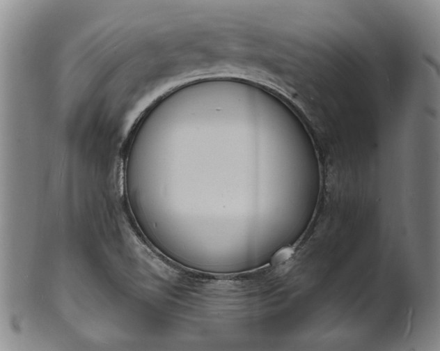 X0000101481510200807211347