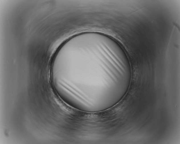 X0000101481511200807211347