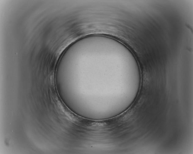 X0000101481513200807211347