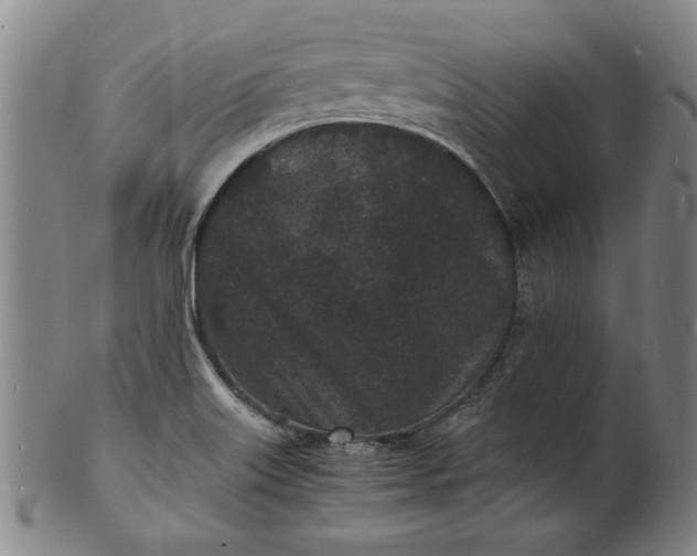 X0000101481515200807211347