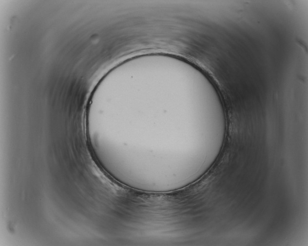 X0000101481516200807211347