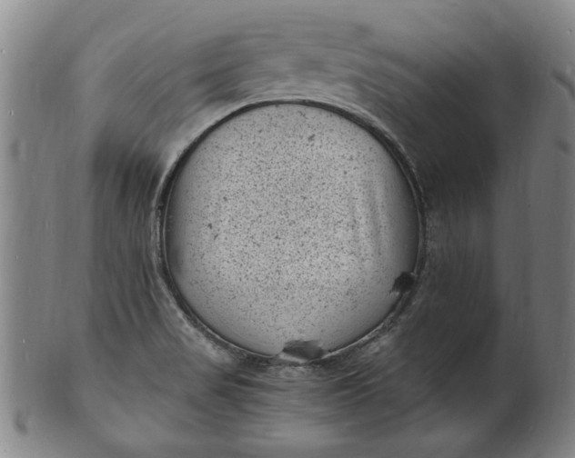 X0000101481517200807211347