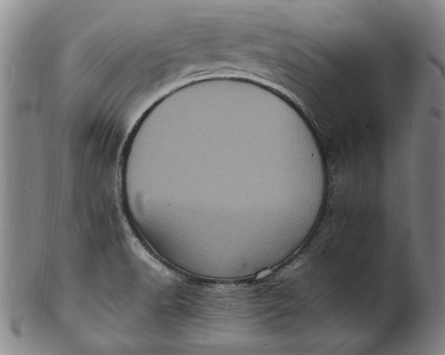 X0000101481518200807211347