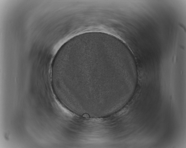 X0000101481519200807211347