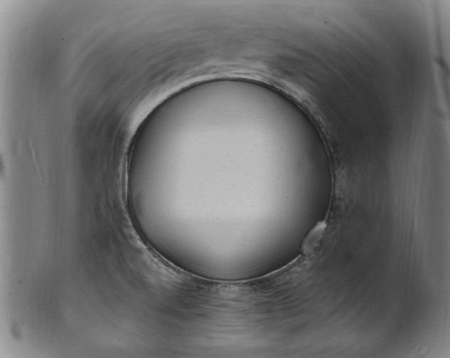 X0000101481520200807211347