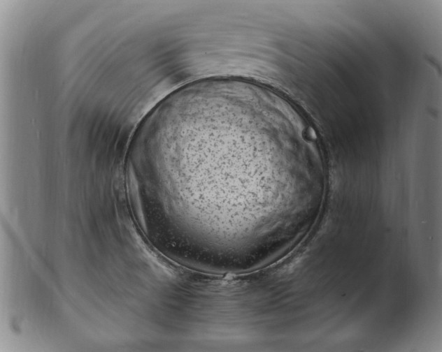 X0000101481521200807211347